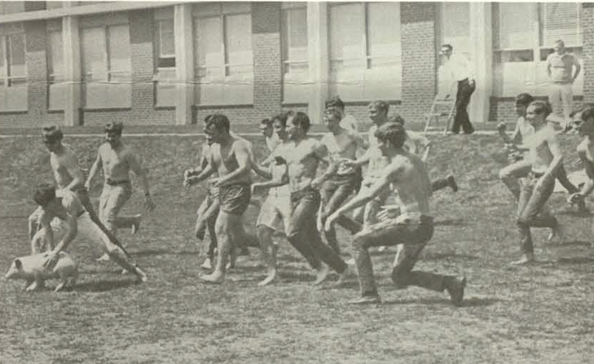 bw of students chasing a pig